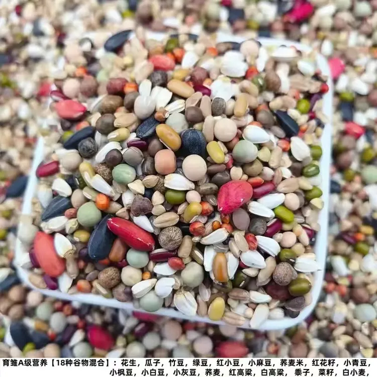 【高品质】鸽粮营养赛飞鸽子饲料鸟食信鸽赛鸽幼鸽观赏鸽子粮食包邮