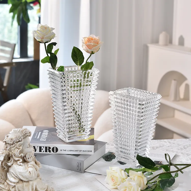 梵枝梵枝轻奢玻璃花瓶高档家居办公客餐厅摆件透明水培养鲜花瓶