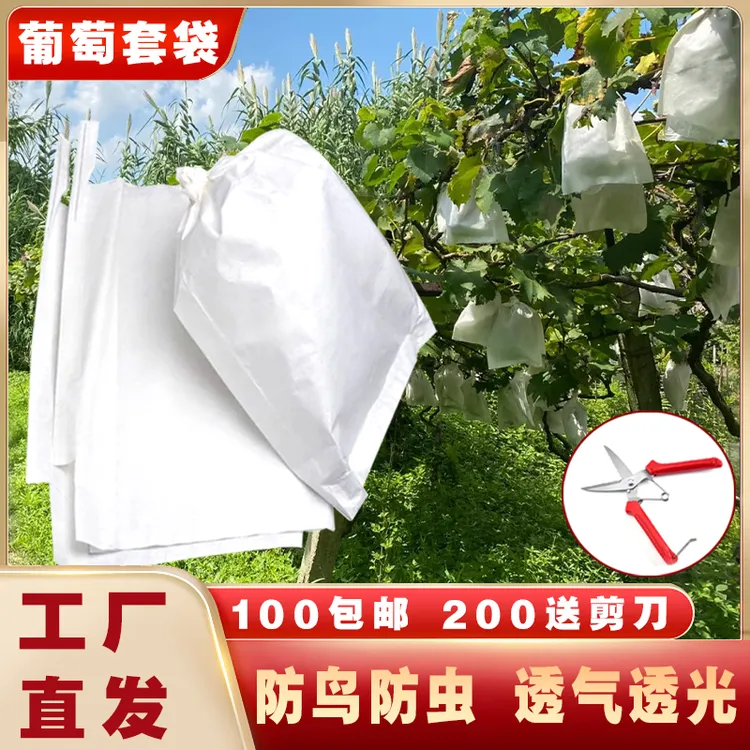 阳光玫瑰套袋绿色纸袋葡萄套袋专用袋防水防雨防虫防鸟套袋纸袋子