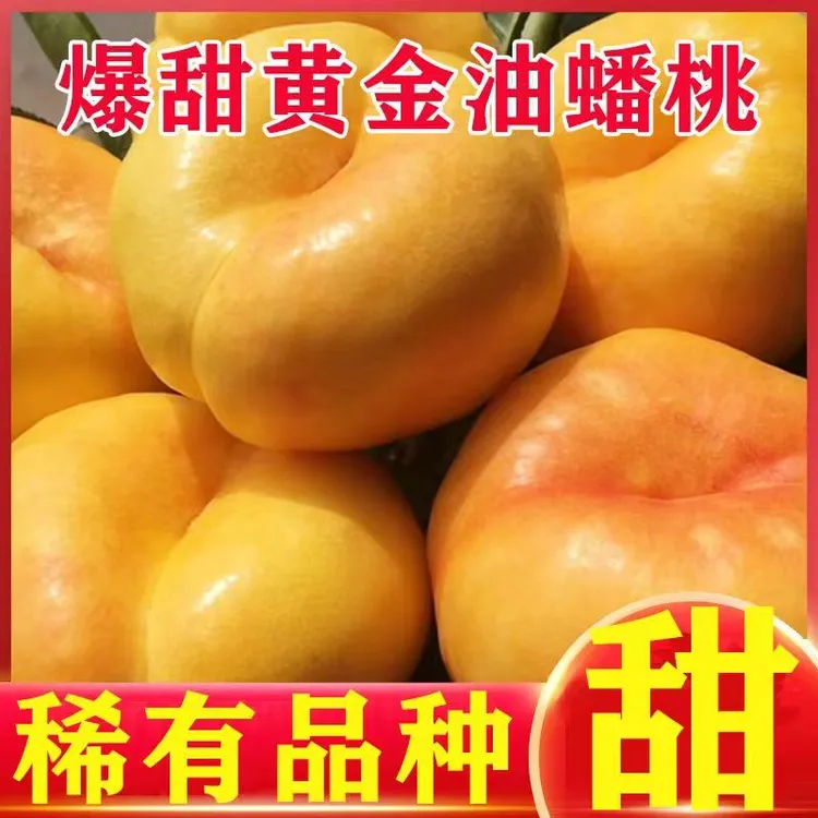 【爆甜】纯甜黄金油蟠桃黄油蟠桃黄心油桃黄油扁桃新鲜水果桃子