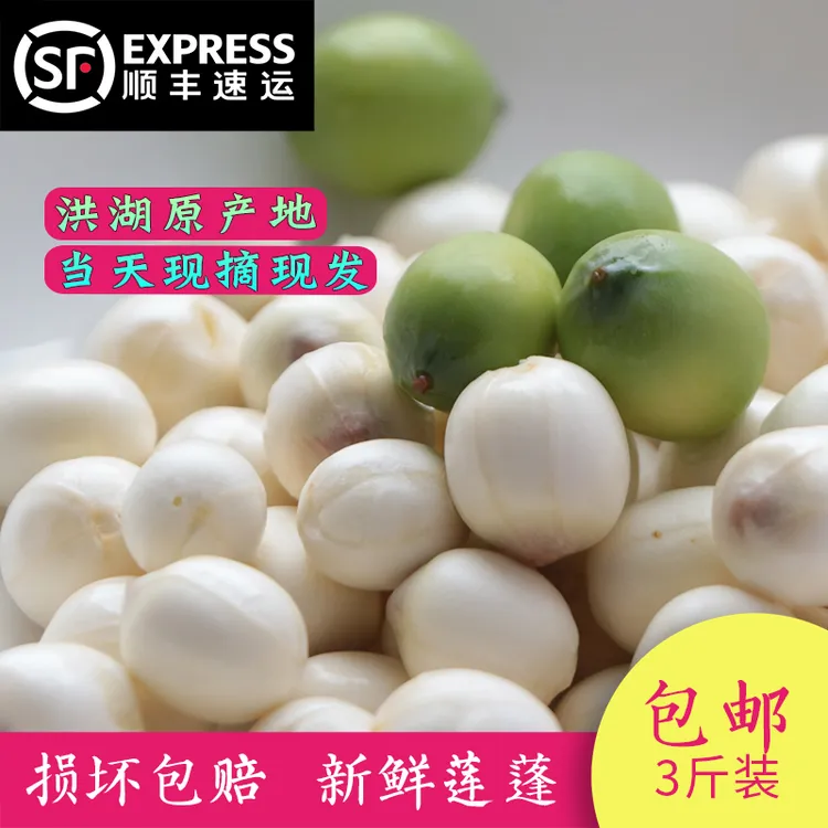 洪湖新鲜嫩莲子米现摘当季水果莲蓬米生吃脆甜多汁孕妈水果顺丰