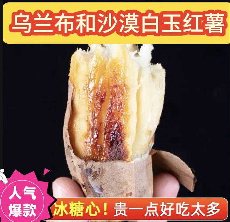 精选正宗沙漠白玉蜜薯粉糯甜细腻烤蒸煮冰糖心坏果包赔