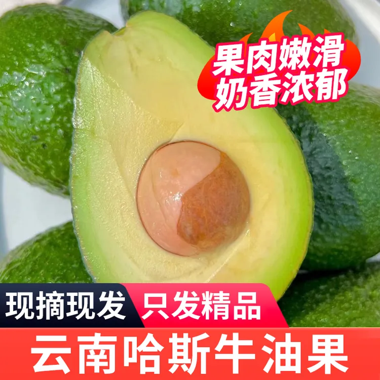 云南哈斯新鲜采摘精品牛油果4个/6个新鲜鳄梨香醇细腻宝宝辅食