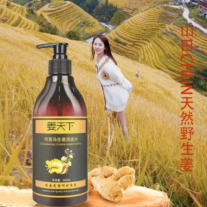 姜天下何首乌生姜洗发水养发柔顺改善发质草本润发滋养精粹狂欢节