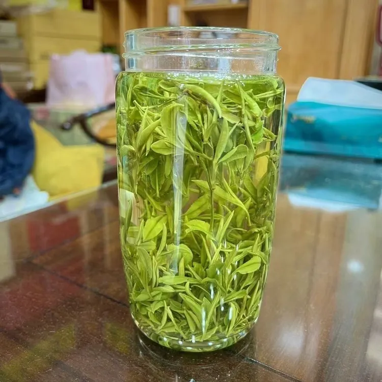 茶叶霍山黄芽2025新茶黄芽霍山一级安徽毛尖芽茶大化坪500g礼盒装