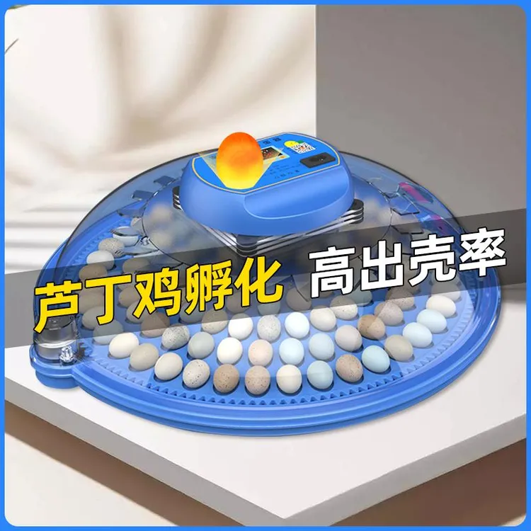 孵化器小型家用全自动智能鸟蛋芦丁小鸡孵蛋器小飞碟孵化箱孵化机