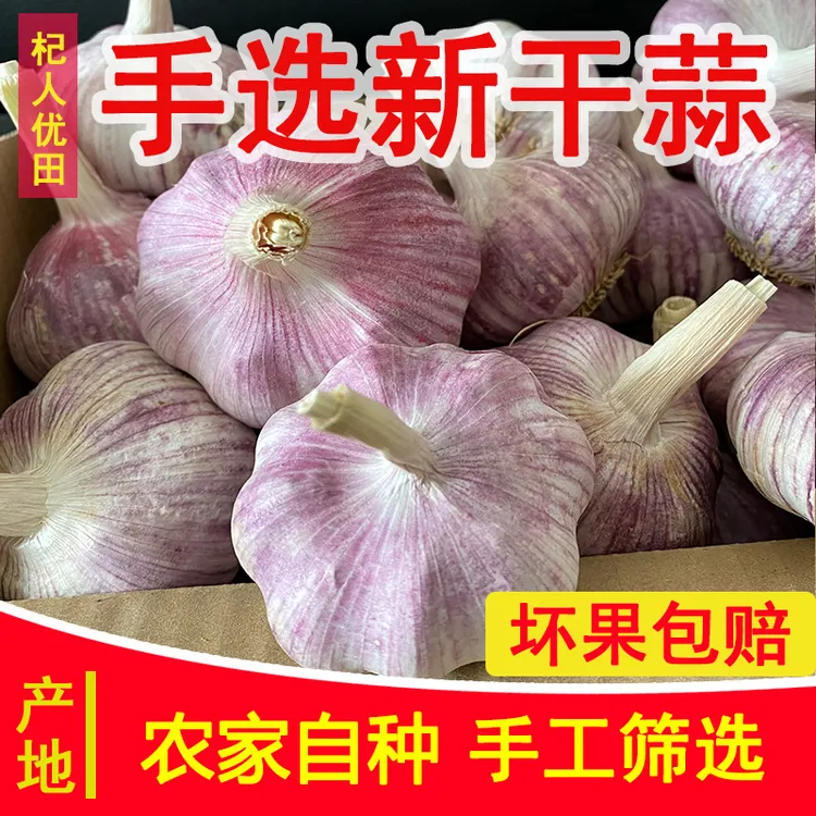  【农家自种蒜】5斤新干蒜可种大蒜头河南农家紫白皮大蒜2斤3斤9斤