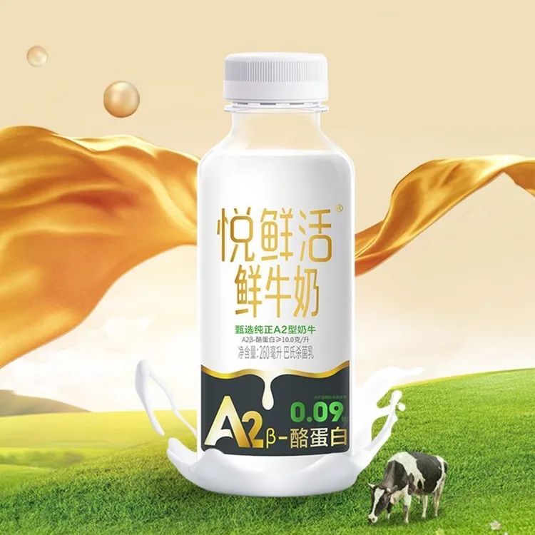 悦鲜活A2金标鲜牛奶260ml高品质低温生牛乳咖啡伴侣新鲜日期