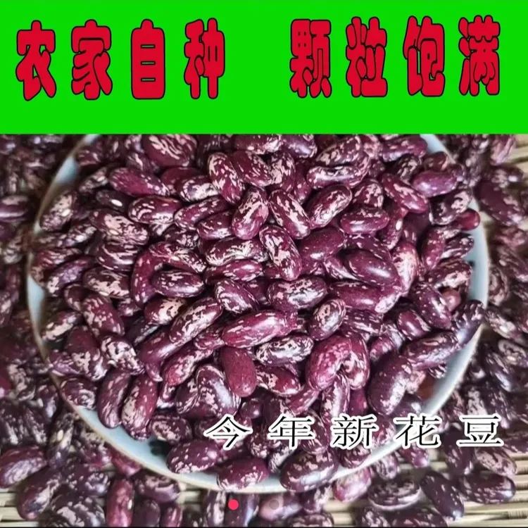 威宁2014年新干花红豆芸豆豆米四季豆颗粒饱满炒菜精选