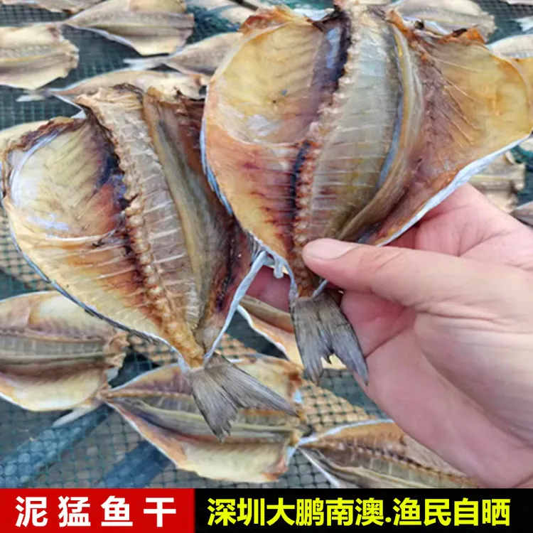 深圳大鹏湾南澳渔民自晒淡干泥猛鱼干海鱼干咸鱼干淡口味道好干货