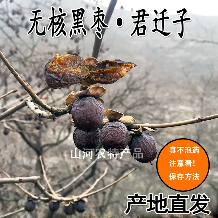 黑枣无核软枣产地太行山区 君迁子小柿子无核黑枣品种250g—3斤