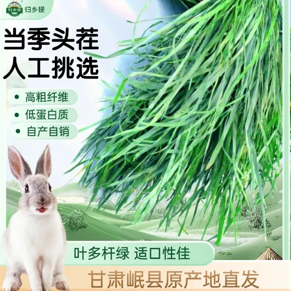 【归乡提】提摩西草烘干当季新货兔子宠物兔粮荷兰猪饲料绿色高纤维