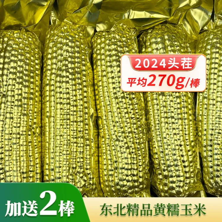 【2025头茬】正宗东北大黄糯玉米软糯香甜糯玉米粘玉米早餐代餐粗粮