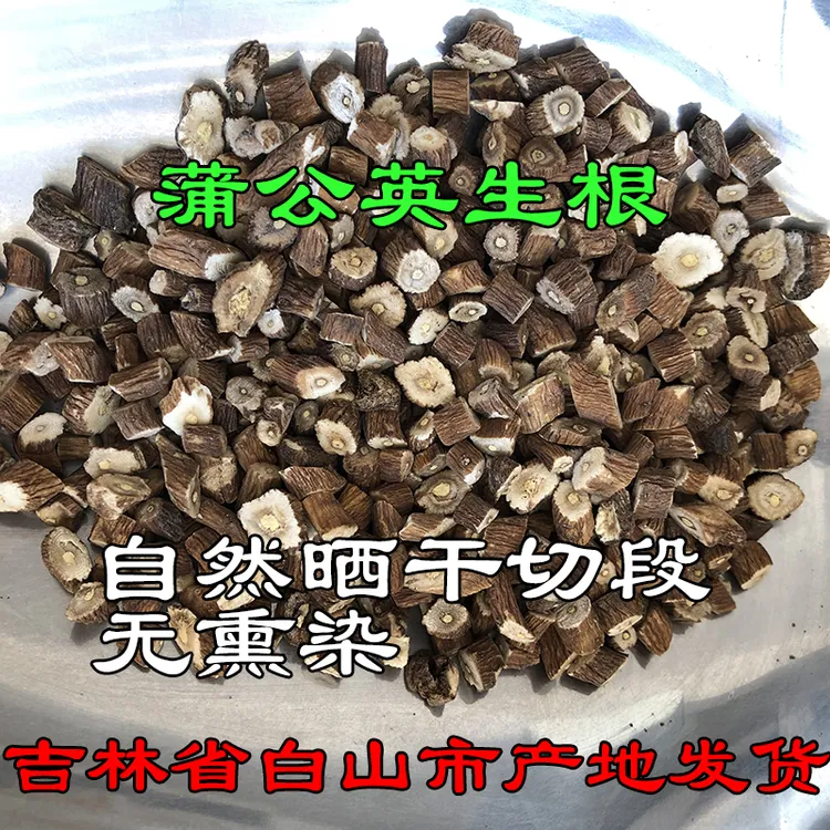 东北生晒蒲公英根 生根切段250克  500克泡水长白山特产