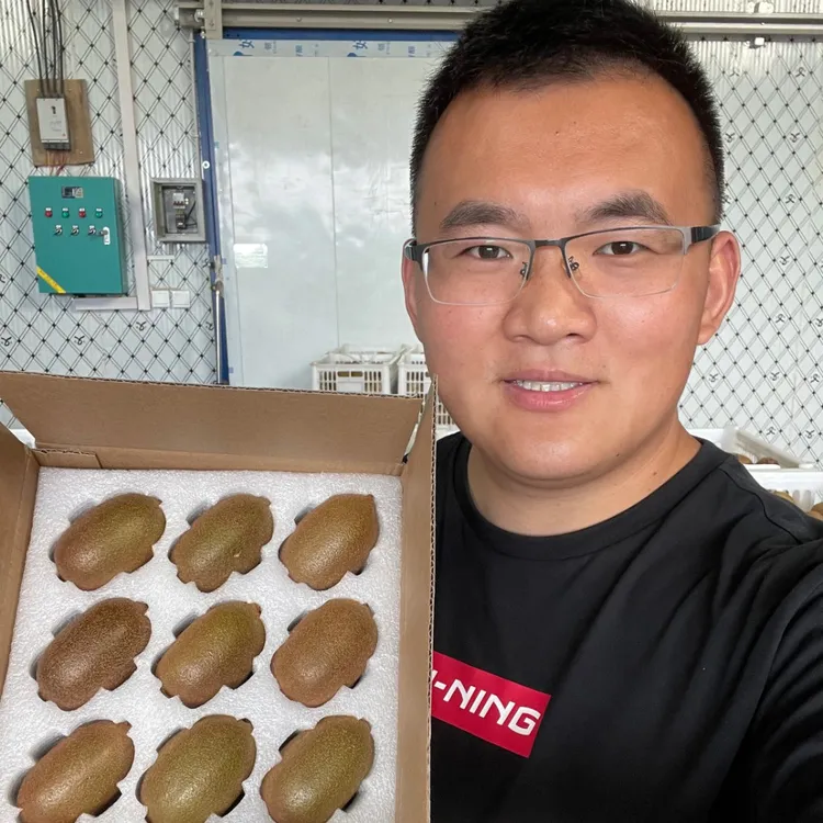 中通【催熟后食用】陕西翠香猕猴桃 净重4.2-5.1斤 放软后食用