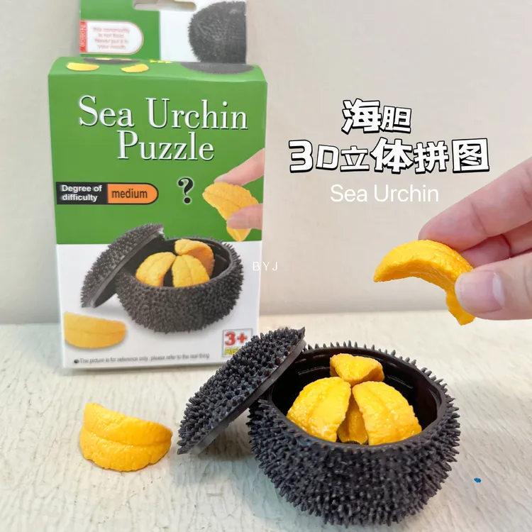 3D拼图海胆玩具拼装立体海胆趣味玩具创意解剖食材拼装
