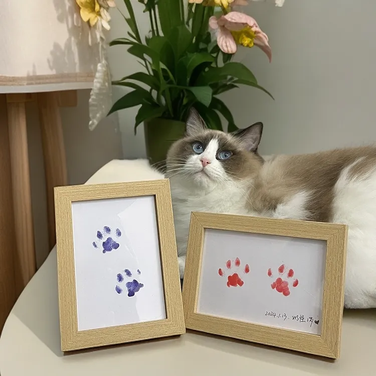 宠物相框足印台猫咪狗狗爪印生日礼物触摸不留墨猫爪狗爪纪念品