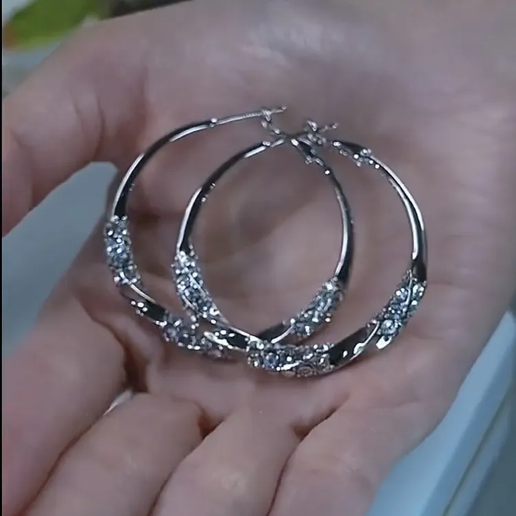 铜合金耳饰 时尚大圈耳环女2024新款爆款轻奢小众设计气质夸张