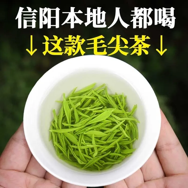 信阳毛尖2025新茶罐装绿茶春茶实惠口粮茶正宗浓香型厂家直销茶叶