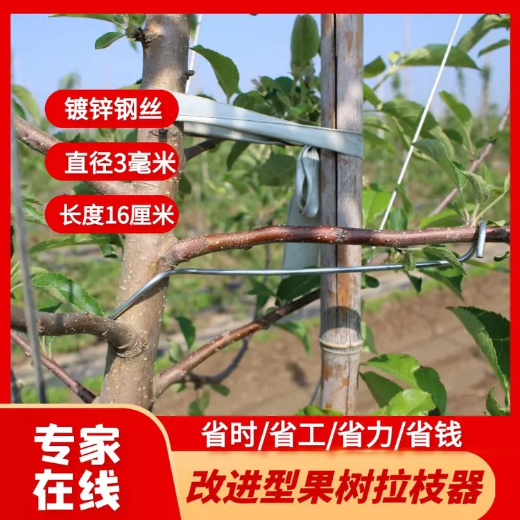 果树拉枝定型器16厘米改进型弯枝器热镀锌钢丝不生锈扭枝器压枝器