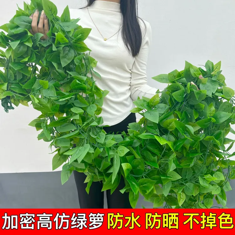 仿真藤条塑料假花绿箩叶装饰室内藤蔓植物假树叶管道壁挂遮挡绿叶