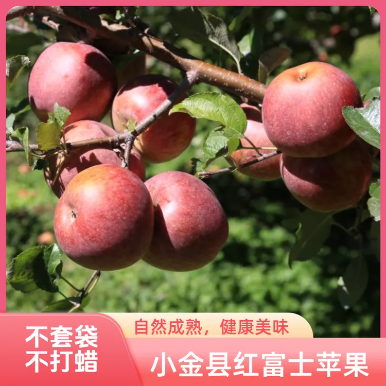 嘉绒阿斌小金县红苹果口感脆纯甜鲜脆冰糖心12个/24个装顺丰包邮