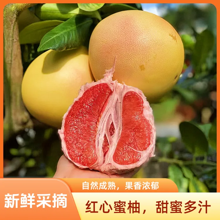 广西正宗红心蜜柚柚子香甜可口当季新鲜时令1.5/4.5/8.5斤B