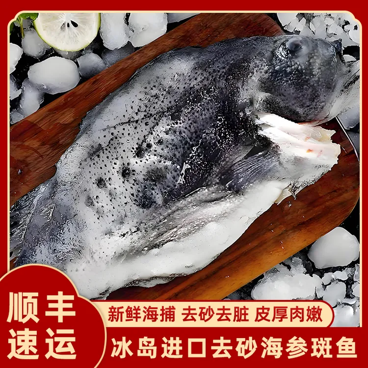 1.8kg/条北极深海冰岛海参斑石斑鱼去砂去内脏免处理新鲜营养冷冻