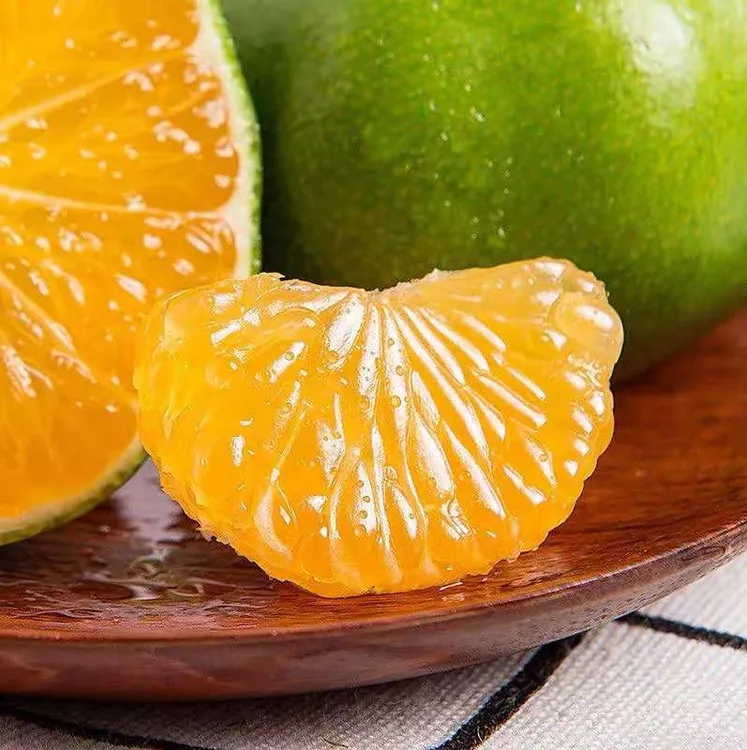 【顺丰包邮】现摘新鲜湖北宜昌无籽蜜桔早熟小橘子皮薄桔子5斤