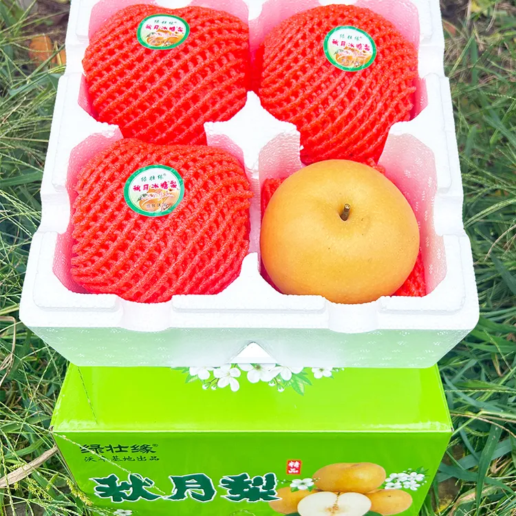 【正宗秋月梨】山东烟台基地现摘现发大果王4枚5斤脆甜多汁坏果包赔