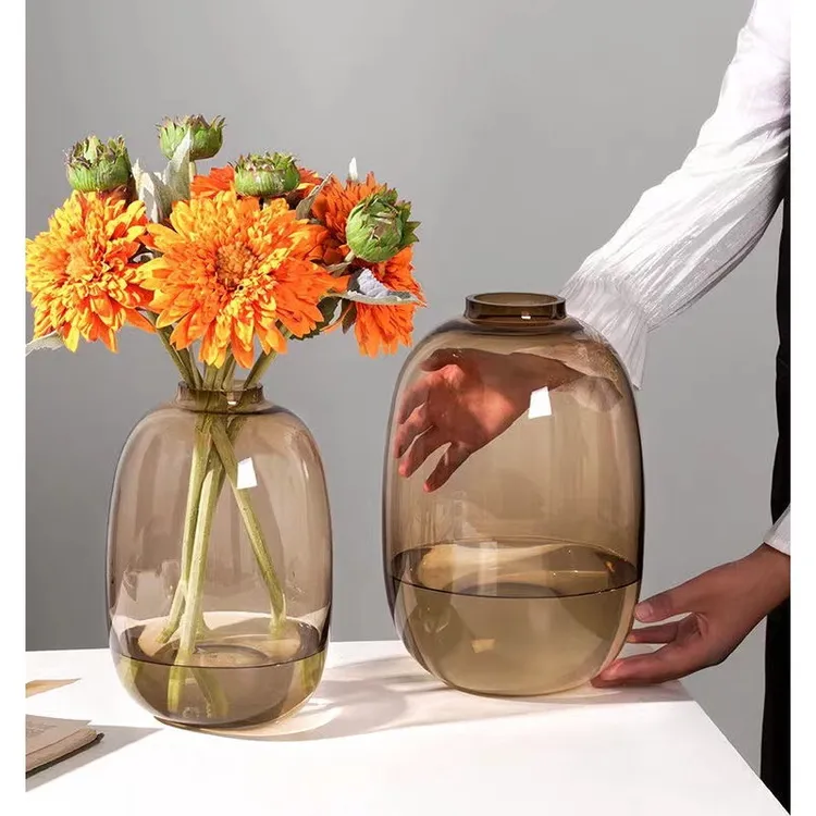 网红简约高级感喜透明大肚玻璃花瓶水养客厅马醉木雪柳水培插花器商品图