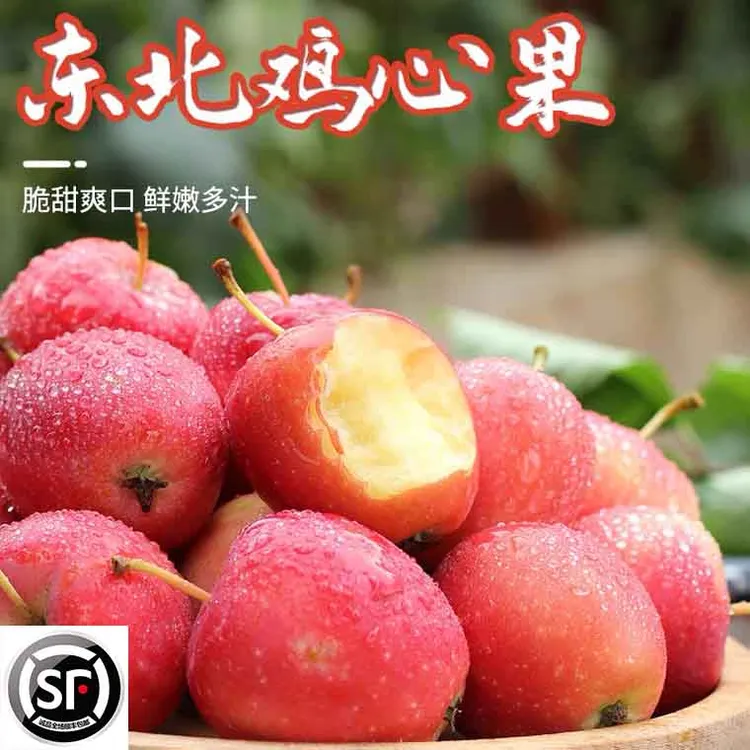 东北辽宁本溪 鸡心果 小沙果 小苹果 海棠果3斤 5斤