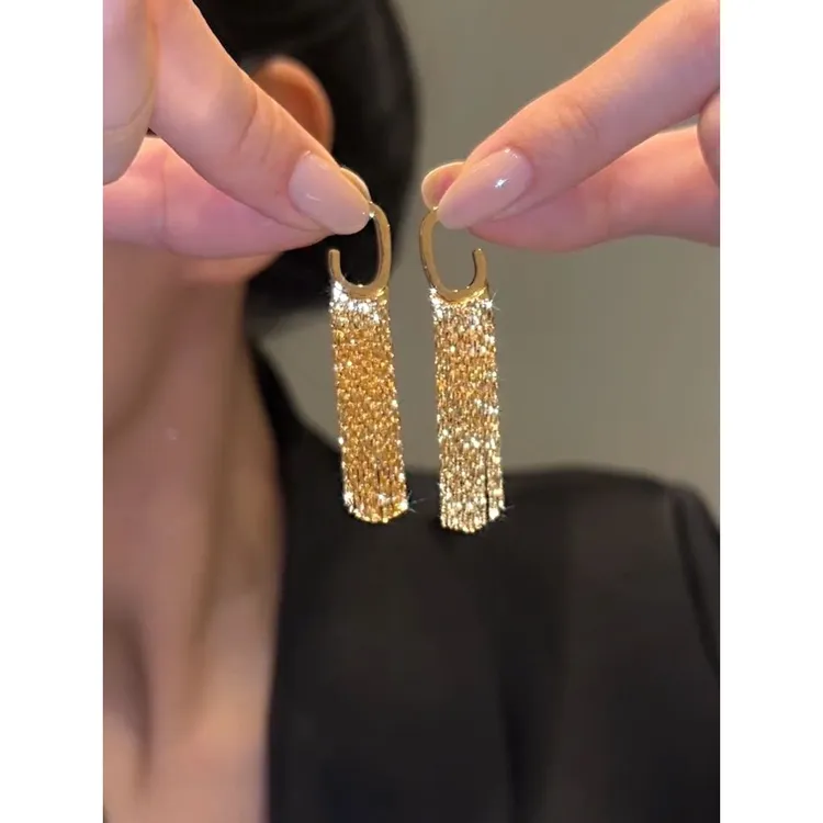 合金耳饰 时尚潮高级感长款流苏耳环女轻奢小众设计时尚大气奢华