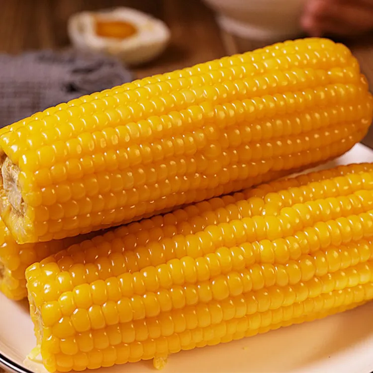【2025头茬黄糯玉米】香糯甜真空锁鲜10支装（含2根试吃）整箱6斤以上