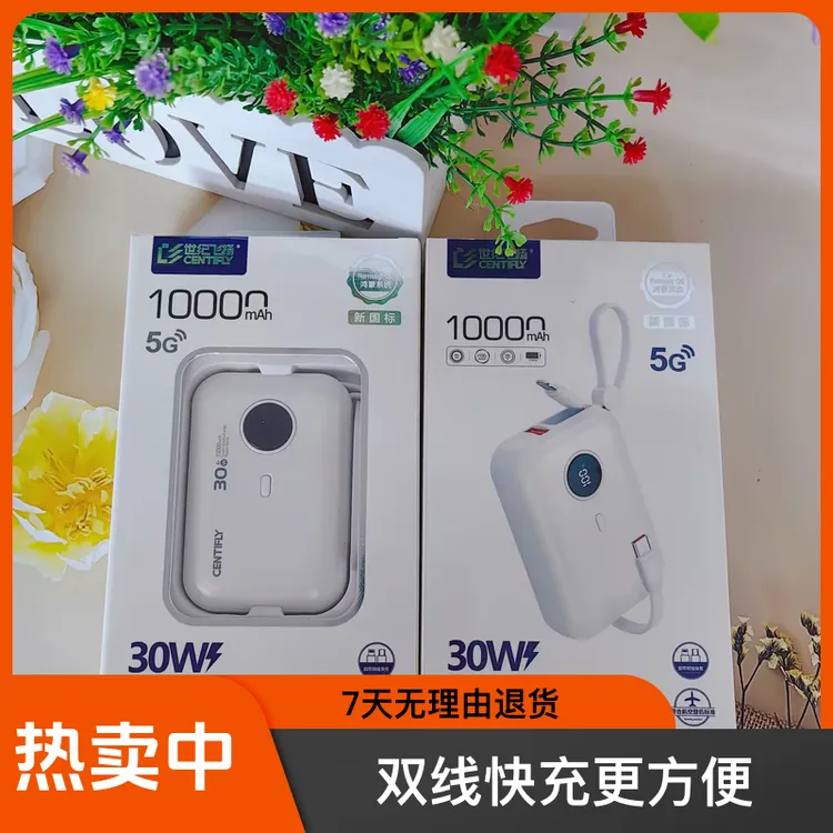 世纪飞扬C6021移动电源(10000Mah 全兼容 带线数显版)