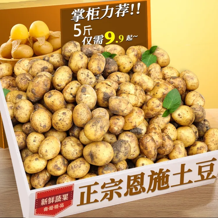新鲜恩施黄心小土豆现挖3/5/9斤迷你马铃薯农家洋芋软糯应季蔬菜