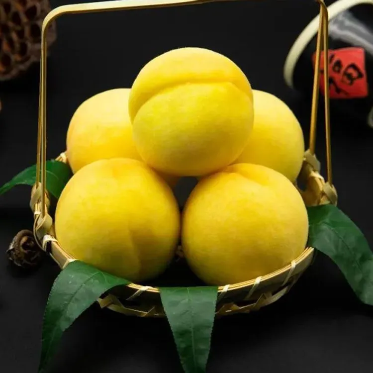 新品大果黄桃树苗脆甜果大晚熟地栽盆栽南北方种植嫁接大果桃树苗