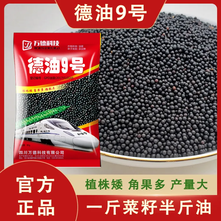 德油9号高产大田油菜种子秋播抗病抗寒抗倒伏矮杆杂交型优质油菜