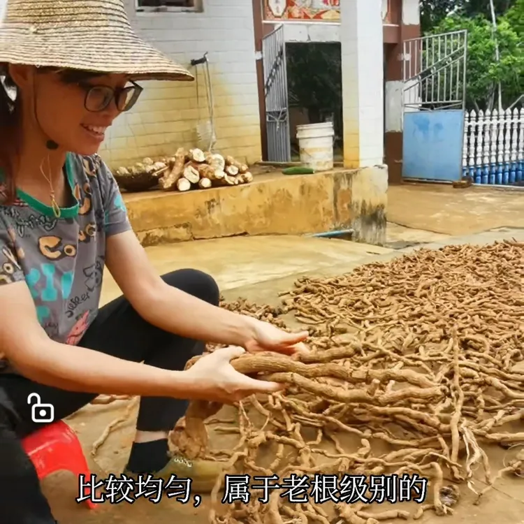 【海南海口发货】海南农家胡椒根250g