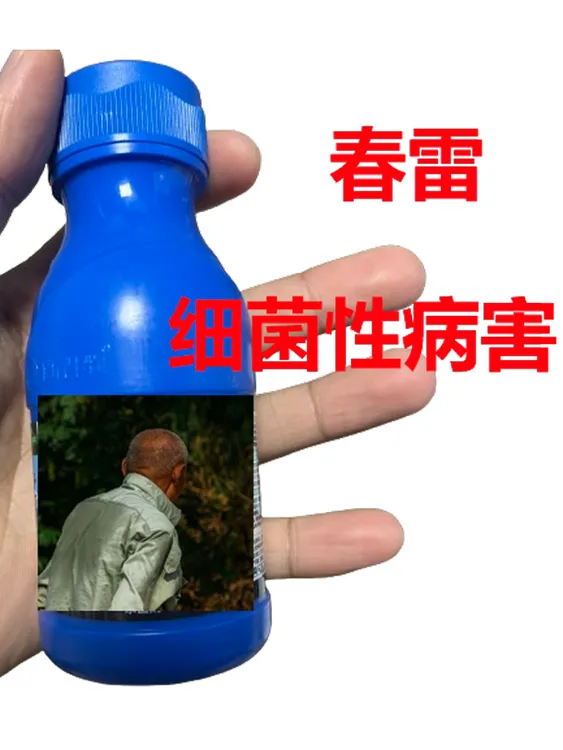 治疗细菌病害-高含量春雷-春雷12％ 丙硫Z 叶喷10桶水-小工具
