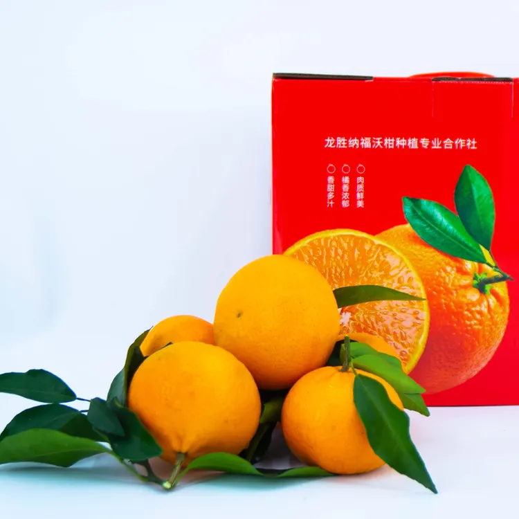 广西桂林龙脊沃柑5斤/10斤新鲜水果当季整箱柑橘桔子橘子特产精品