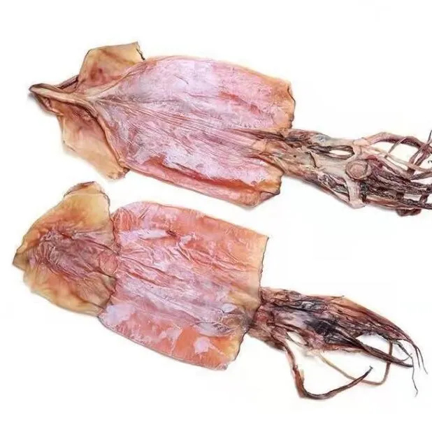 福建莆田正宗淡晒鱿鱼干特级整只烧烤炭烤炒菜铁板烧渔民自晒鱿鱼