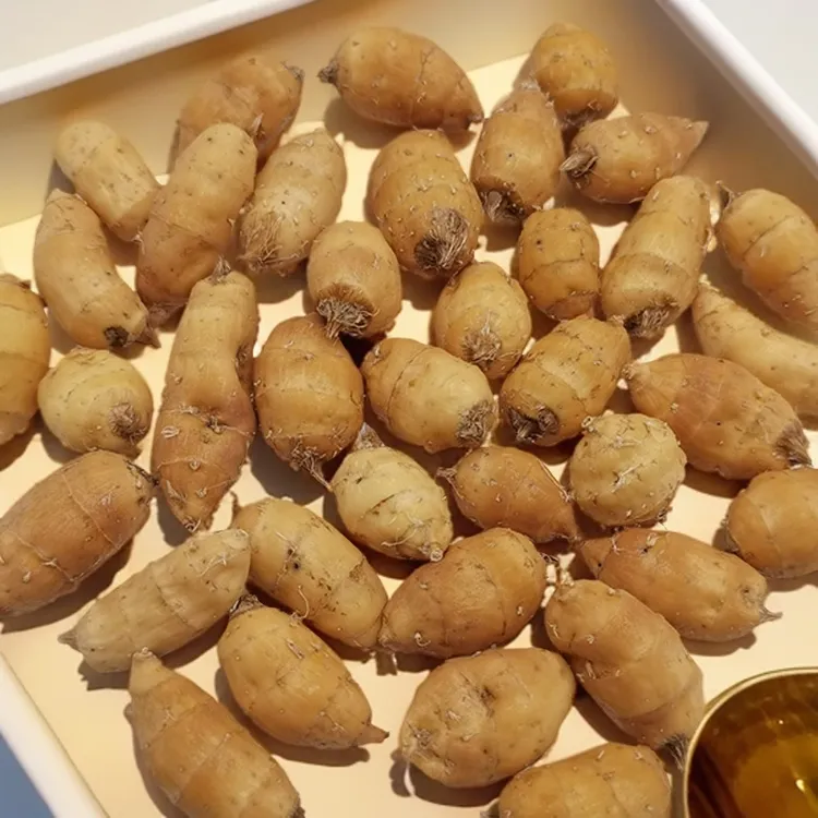 油莎豆即食云南腾冲农家自种老品种长形油豆袋装长形油莎豆500克