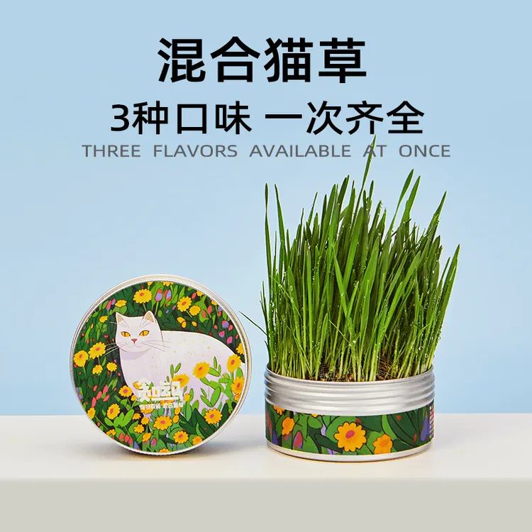 贪吃马猫草混合罐装无土猫草猫用品化毛贪吃马猫草猫零食懒人猫草
