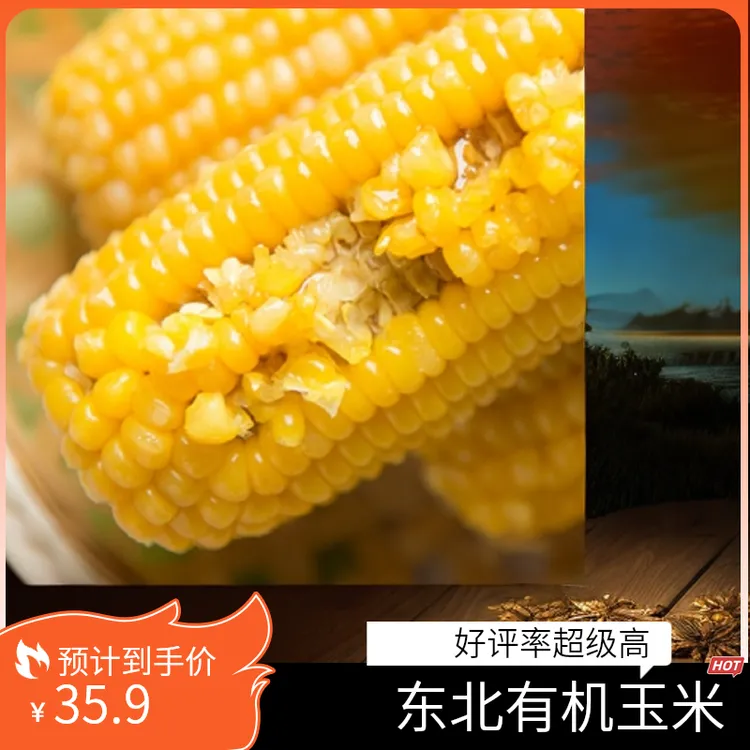 东北有机玉米软糯香甜每个200g以上*10个
