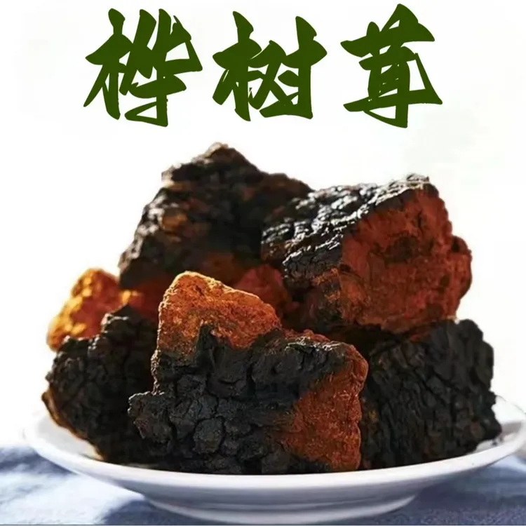 【保真】中俄边境白桦茸茶营养桦褐孔菌黑金冲泡大东北桦树茸