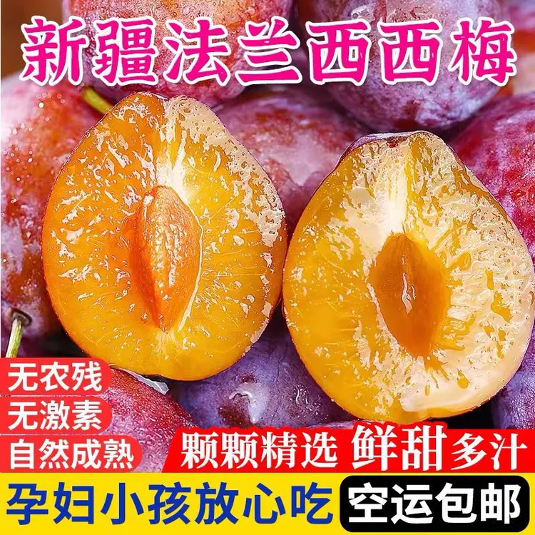 新疆甜西梅糯甜多汁李子新鲜水果香甜食用爆汁采摘酸甜