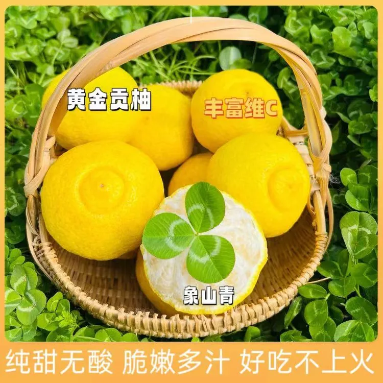 【普通快递】湖南怀化正宗岩龙黄金贡柚脆甜香包赔香甜食用脆爽产地