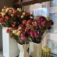 Hi～我是多头泡泡～小花苞小脑袋的～美丽天然