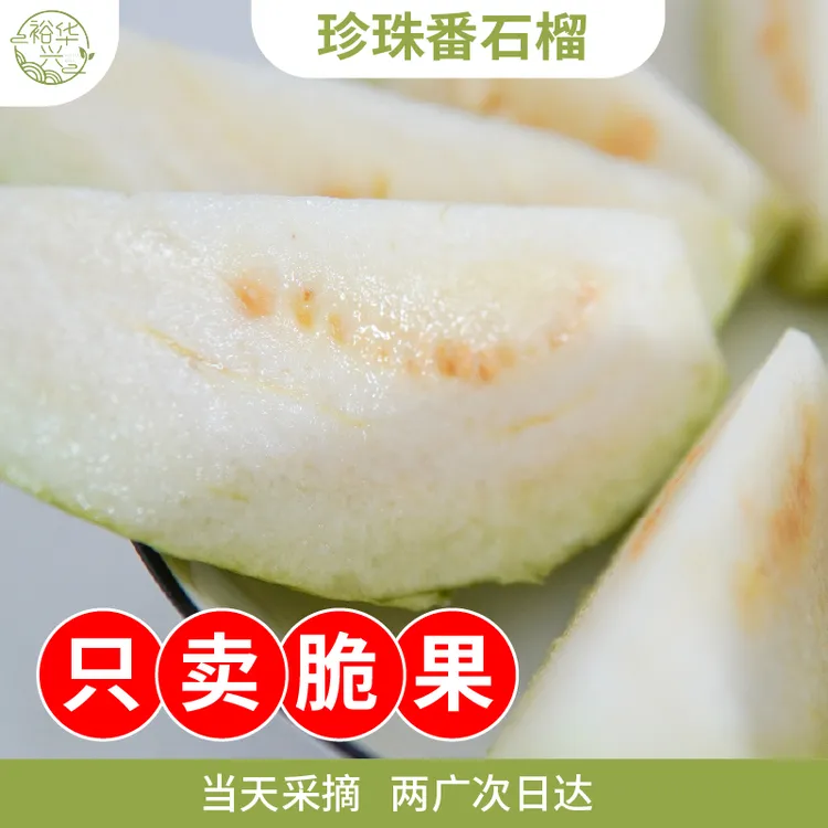 白心芭乐珍珠番石榴-3/5/8斤装产地直发当天采摘中大果树上熟水果